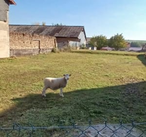 Rando à Bourcq - Thierry - 4