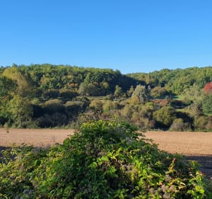 Balade autour de Mareuil-en-Périgord - Pierre - 4