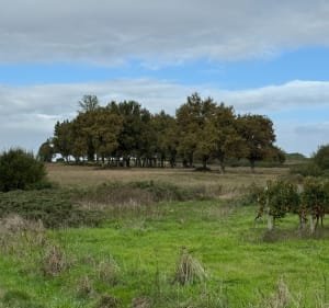 Boucle au cœur de Civrac-de-Blaye - Jessica  - 4