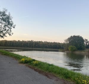 L’île aux Saules à Billy - Ophelie - 2