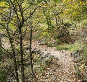 Cheiron-La Beaume - GRIET - 3
