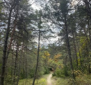 Cheiron-La Beaume - GRIET - 4