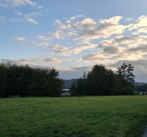 Longpré et Long - aurelie - 2