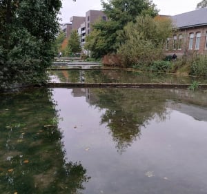 Chemin du halage en boucle par la rue Jules Barni d'Amiens - Philippe - 5