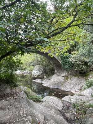 Het White Water Trail - LAETITIA - 4