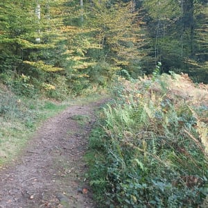 Étang d'Huchère par le rond cailloux - Amandine - 4