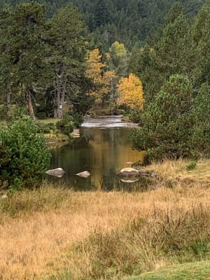 Balade du lac Calvet aux bords de la Têt - Veronique - 2