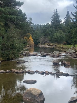 Balade du lac Calvet aux bords de la Têt - Veronique - 4