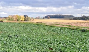 Balade à Arc-sur-Tille et saveurs de la campagne - Helene - 2