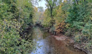 Balade à Arc-sur-Tille et saveurs de la campagne - Helene - 3
