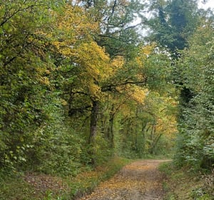 Boucle en 8 à Siccieu-St-Julien-et-Carizieu - Fred - 2
