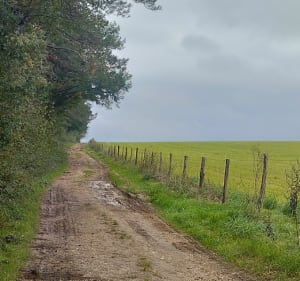 Boucle en 8 à Siccieu-St-Julien-et-Carizieu - Fred - 3