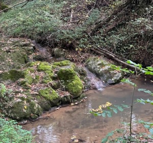 Sentier de Gorneton et les Combes - France - 2