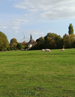 Origny-Sainte-Benoite et la vie sur l'Oise - Aurélie - 2
