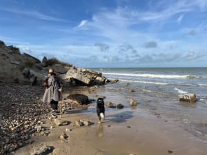 Autour de la plage du Châtelet - ANDRE - 3