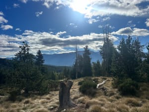 Coll del Pam depuis Fameils - fred - 7