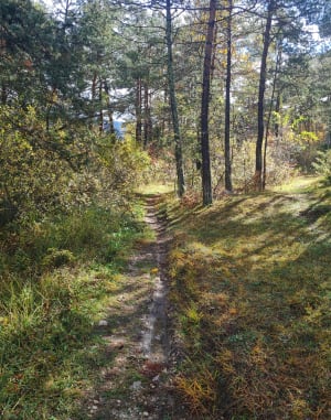 Sagnes Lake Loop - LIONEL - 4