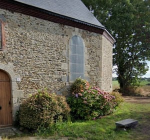 Sur les chemin de campagne Lantic/Etables sur mer - Olivier - 2