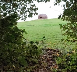 Latirmont et ses casemates-Cutry - Laurent - 2
