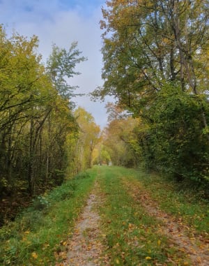 Belle balade ensoleillée à Villy-le-Marechal - Anaïs - 4