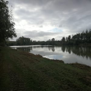 Balade en forêt de Longuenée - ARNAUD - 3