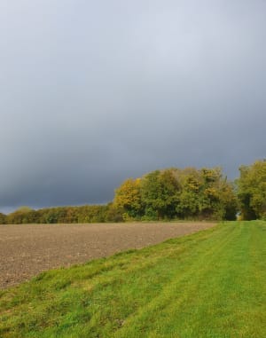 Belle balade ensoleillée à Villy-le-Marechal - Anaïs - 7