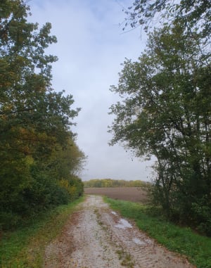 Belle balade ensoleillée à Villy-le-Marechal - Anaïs - 9