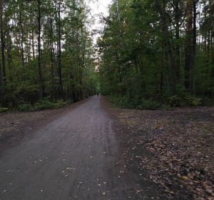 Krótki spacer w Mazowieckim Parku Krajobrazowym, Międzylesie - Krzysztof - 3