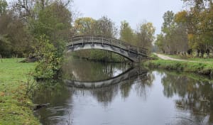 Du côté des grandes Mottines - Yrieix - 8