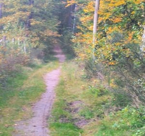 Dębogórze i Zaklety - Łukasz - 3