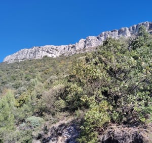 Mont Aurélien d'un bout à l'autre - Nano - 3
