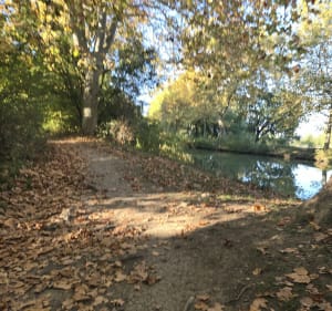 Castanet et Coteaux puis canal du midi - SEBASTIEN - 2