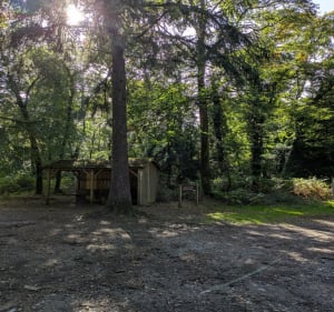 Balade dans le bois d'Avaugour - Mila - 3