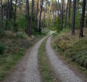 Szubin-Grzeczna Panna - Rafał - 2