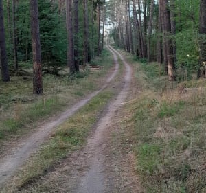 Szubin-Grzeczna Panna - Rafał - 3