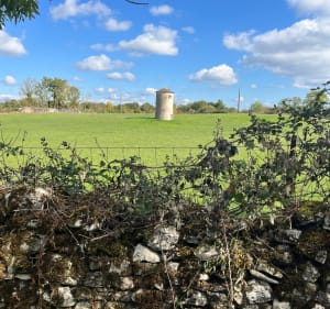 Sébazac-Concourès et Puech del Triou - Laurent - 3