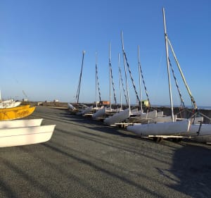 Balade entre bois et plages à Fouras - Véronique - 3