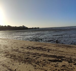 Balade entre bois et plages à Fouras - Véronique - 5