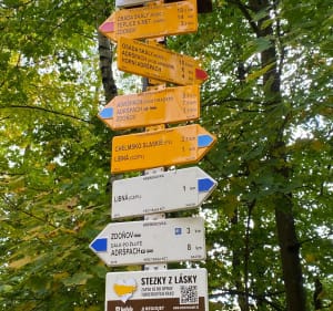 Olszyny - Horni Adrspach - Olszyny - Wojciech - 5