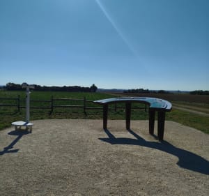 Bois de la garde et Thairé - THOMAS - 3