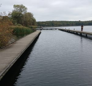 Rondje kralingseplas - Monique - 2