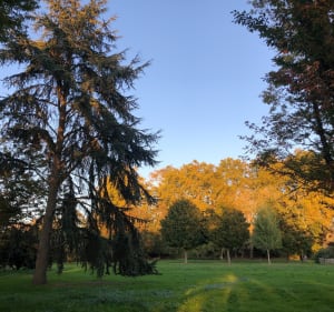 Tour de l’île de Balzac - Marie - 3