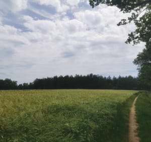 Chemin des Terres Blanches Laboutarié - Leslie - 2