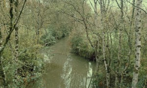 À travers les canaux d'Arçais et unicité du Marais Poitevin - Loic - 3