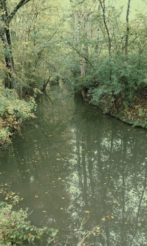 À travers les canaux d'Arçais et unicité du Marais Poitevin - Loic - 4