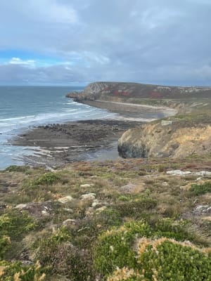 Pointe de Dinan - Aurélie - 7