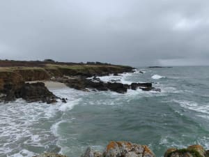 Entre mer et forêt à Moëlan-sur-Mer - GUY - 2