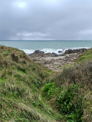 Entre mer et forêt à Moëlan-sur-Mer - GUY - 6