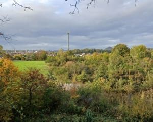 Wandel tussen de bossen en de Pinchonvalles-slakkenberg - BRIGITTE - 6