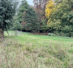 Le long du canal vers le nord depuis Bois-Blancs - Julien - 2